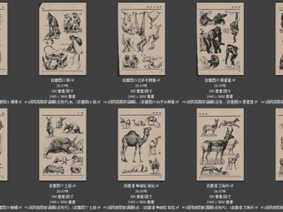 历代-近现代-37_已压缩