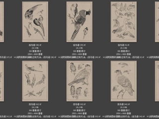 历代-近现代-50_已压缩