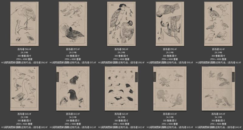 近现代-历代书画高清大图-大设天下