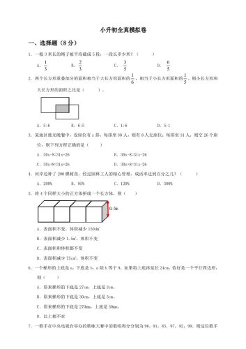 小升初数学全真模拟卷（四）人教版含答案-大设天下