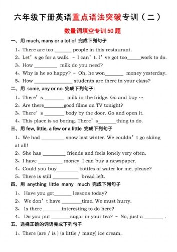 六年级下册人教PEP英语重点语法突破专项训（二）数量词填空-大设天下
