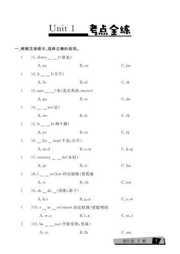 六下英语复习《考点全练》人教PEP版-大设天下