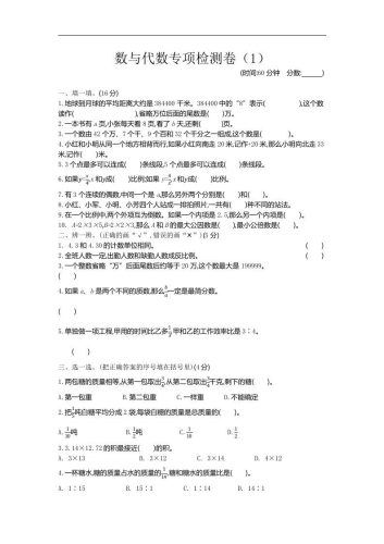 六下青岛63版数学期末数与代数专项检测卷（1）-大设天下