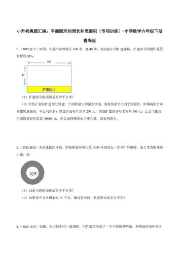 小升初真题汇编：平面图形的周长和表面积（专项训练）-小学数学六年级下册青岛63版-大设天下