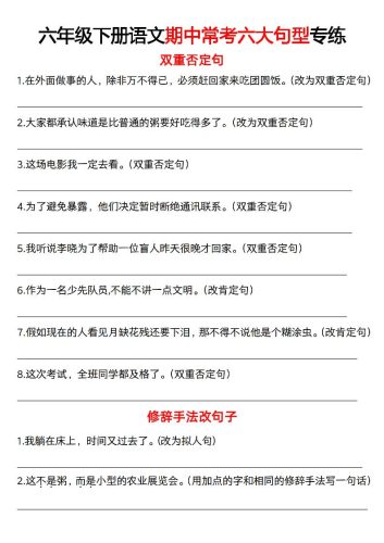 六下语文《语文六大句型期中考点专练》-大设天下