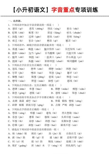 《小升初语文字音重点专项训练》-大设天下