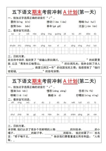【期末复习系列】五下语文期末考前冲刺A计划（1-10）-大设天下