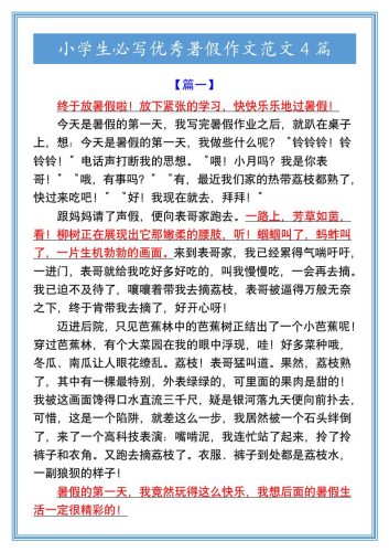 小学生必写优秀暑假作文范文4篇-小升初语文-大设天下