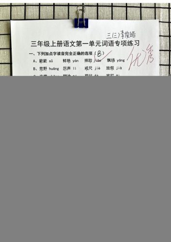 三年级上册语文第一单元词语专项答案-大设天下