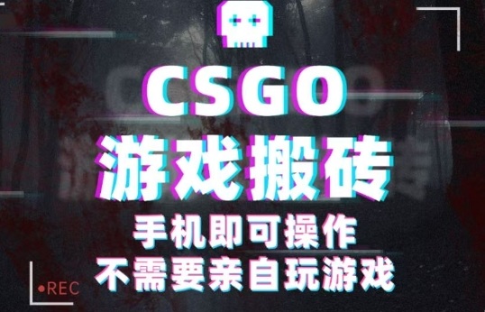 CSGO游戏挂G捡漏，单日扫货5张+，年底小高峰上车可吃肉，手机即可操作，兼职副业创业网创【揭秘】-大设天下