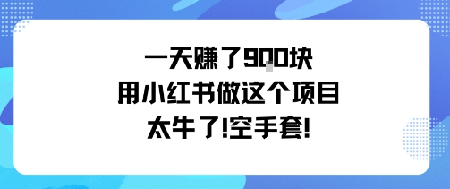 一天挣了9张用小红书做这个项目太牛了，空手套-大设天下