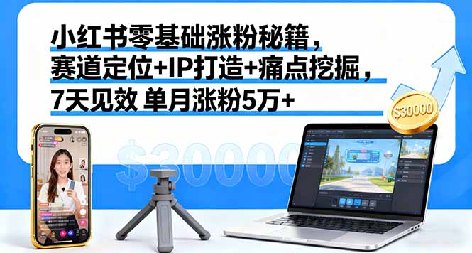 小红书零基础涨粉秘籍，赛道定位+IP打造+痛点挖掘，7天见效 单月涨粉5万+-大设天下