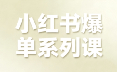 小红书爆单系列课，聚焦小红书电商全链路增长-大设天下