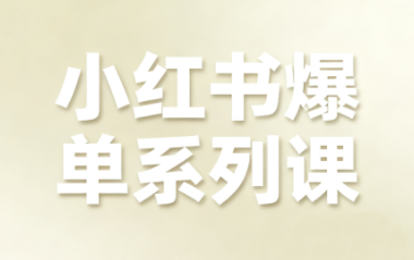 尼采老师·小红书爆单系列课-大设天下