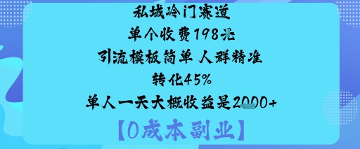 私域冷门赛道:单个收费198米引流模板简单人群精准转化45%单人一天大概收益是1k+-大设天下