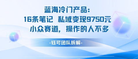 蓝海项目：16条笔记私域变现9750米小众赛道操作的人不多-大设天下