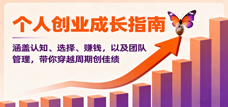 个人创业成长指南：涵盖认知、选择、赚钱，以及团队管理，带你穿越周期创佳绩-大设天下
