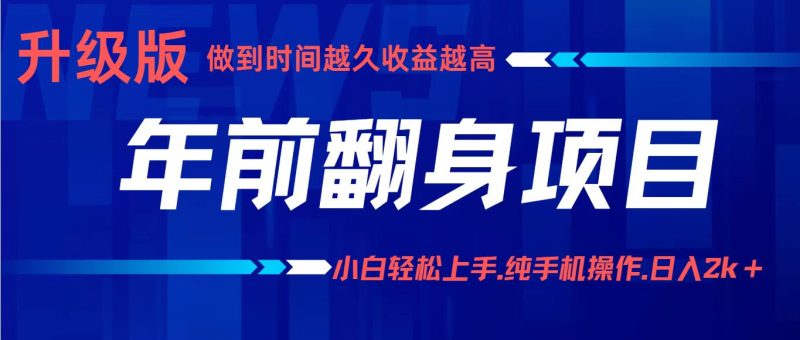 项目讲解年入百万：小白轻松上手，纯手机操作.日入2k+-大设天下