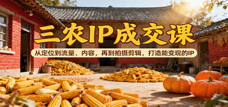 三农IP成交课：从定位到流量、内容，再到拍摄剪辑，打造能变现的IP-大设天下