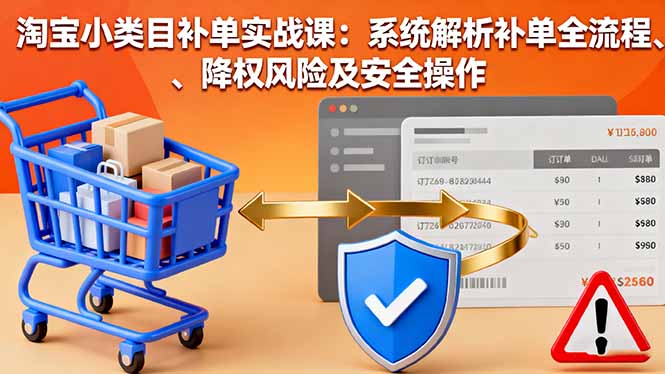 淘宝小类目补单实战课：系统解析补单全流程、降权风险及安全操作-大设天下