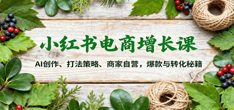 小红书电商增长课：AI创作、打法策略、商家自营，爆款与转化秘籍-大设天下
