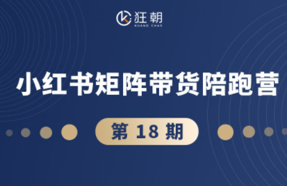 盗坤·抖音小红书视频号短视频带货与直播变现(11-18期)-大设天下