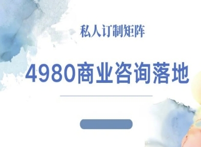 4980商业咨询师落地课程-ip运营高客单教程-大设天下