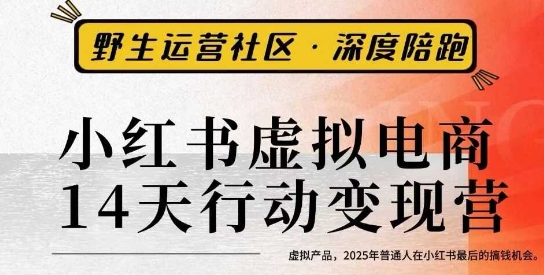 小红书虚拟电商14天变现训练营3.0，​虚拟产品，2025年普通人在小红书最后的搞钱机会-大设天下
