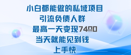 2025年小白都能做的私域项目引流负债人群最高一天变现1k+高变现难度低当天就能见到钱上手快-大设天下