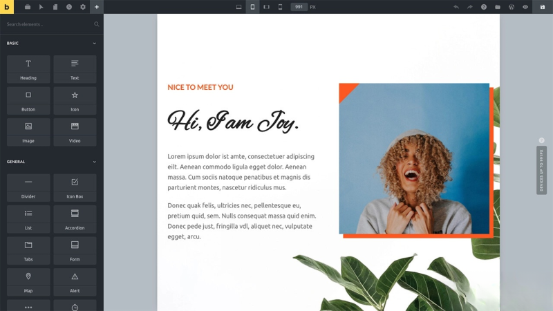 WordPress主题Bricks v1.9 破解版-大设天下