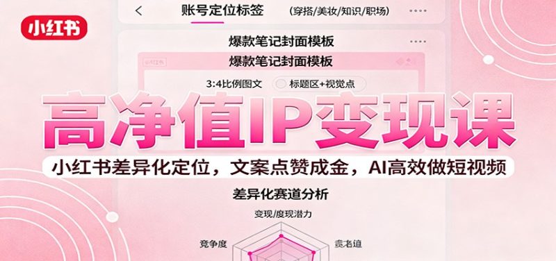 高净值IP变现课：小红书差异化定位，文案点赞成金， AI高效做短视频-大设天下