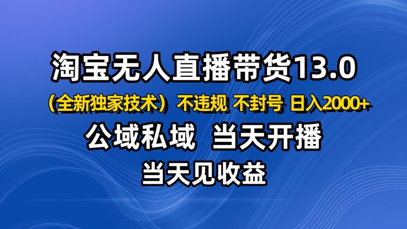 淘宝无人直播13.0，公域私域技术，不封号，不违规 布局下半年旺季赛道，日入2000+-大设天下