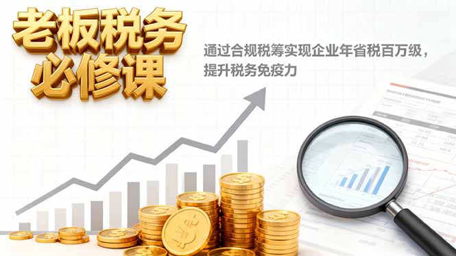 老板税务必修课，通过合规税筹实现企业年省税百万级，提升税务免疫力-大设天下