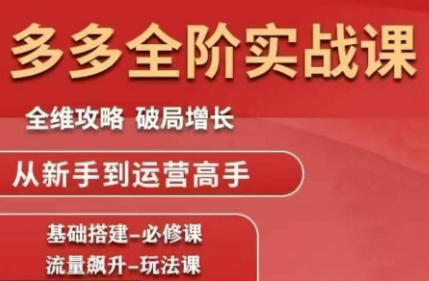 大炮·拼多多全阶实战课程(更新10月)-大设天下