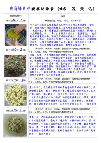 四上语文习作三：培育绿豆芽观察日记2《写观察日记》4页-大设天下