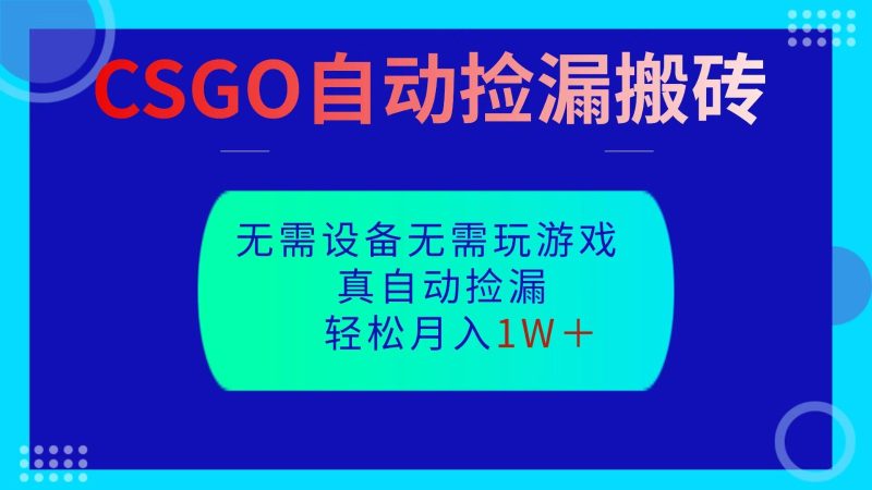 CSGO自动捡漏搬砖，当天操作当天见结果，无需了解游戏，包教包会包落地-大设天下