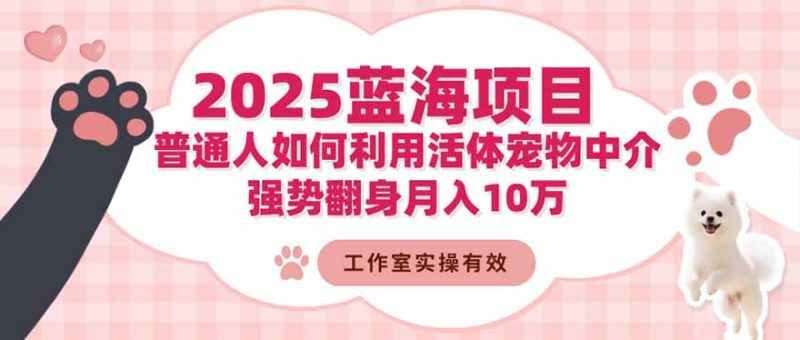 2025蓝海项目：普通人如何利用活体宠物中介，强势翻身月入10万-大设天下
