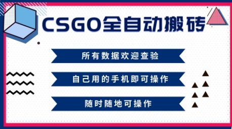 CSGO全自动搬砖，年底钱回家好项目，当天可拿到结果，新手小白轻松月入1W+【揭秘】-大设天下