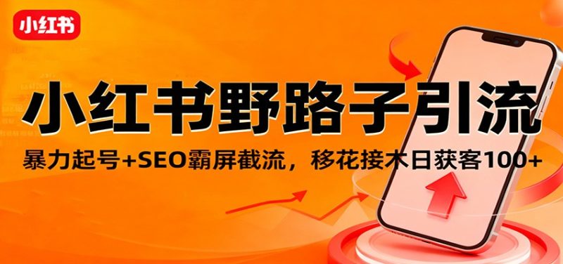 小红书野路子引流，暴力起号+SEO霸屏截流，移花接木日获客100+-大设天下