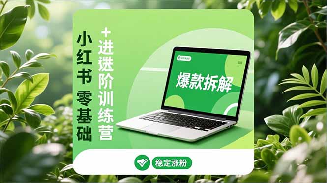 小红书零基础+高阶训练营：安全养号、爆款拆解、长效运营，实现稳定涨粉与变现-大设天下