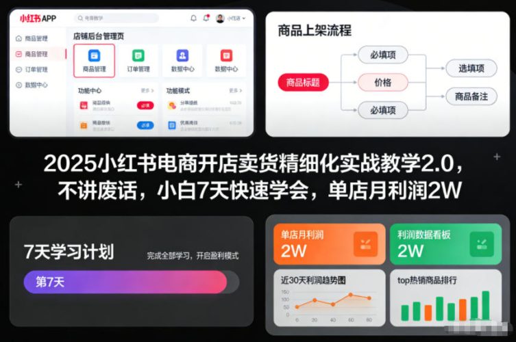 2025小红书电商开店卖货精细化实战教学2.0，不讲废话，小白7天快速学会，单店月利润2W-大设天下