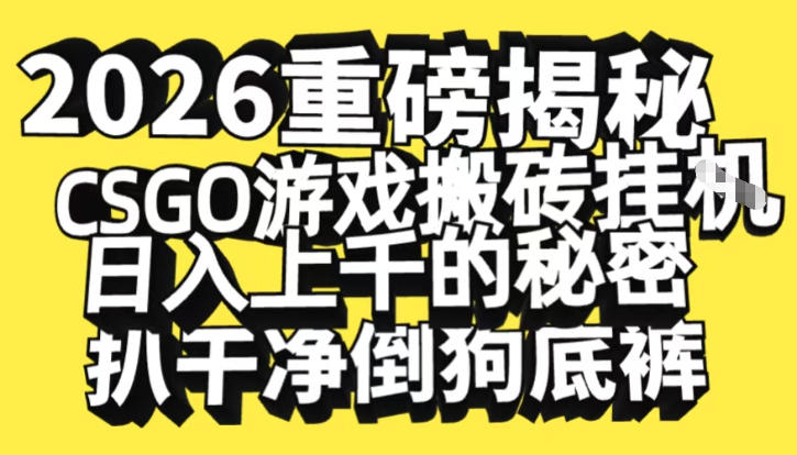 2026开年重磅解密，CSGO游戏搬砖挂G日入1k+的秘密，把倒狗的底裤扒干【揭秘】-大设天下