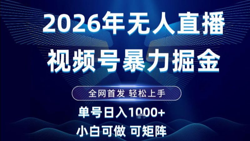 2026最新视频号无人直播掘金，全网首发，小白可以玩，长期稳定日入1k+【揭秘】-大设天下