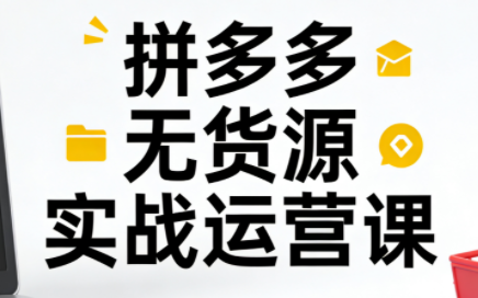 子枫老师·拼多多无货源实战运营课(更新12月)-大设天下
