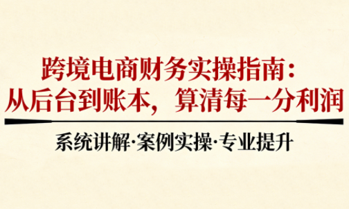 2025跨境电商财务实操指南-大设天下