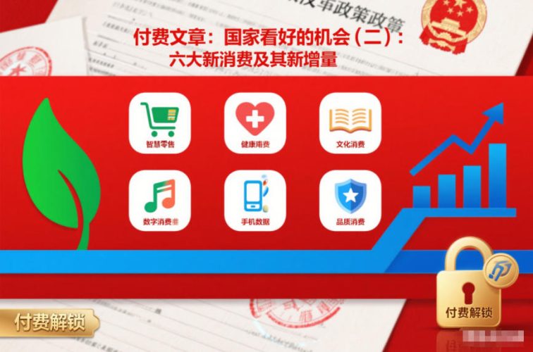 付费文章：国家看好的机会(二)：六大新消费及其新增量-大设天下