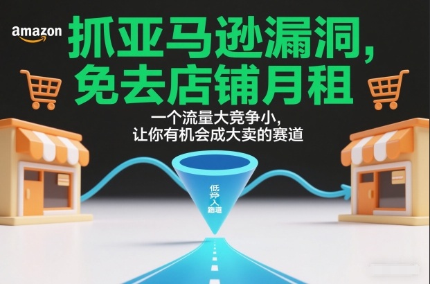 抓亚马逊漏洞，免去店铺月租，一个流量大竞争小，让你有机会成大卖的赛道-大设天下