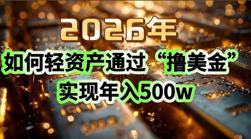 2026年如何轻资产通过“撸美金”实现年入500w-大设天下