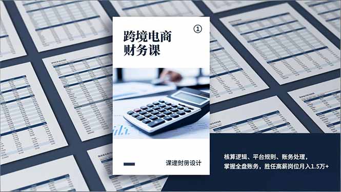 跨境电商财务课，核算逻辑、平台规则、账务处理，掌握全盘账务，胜任高薪岗位月入1.5万+-大设天下