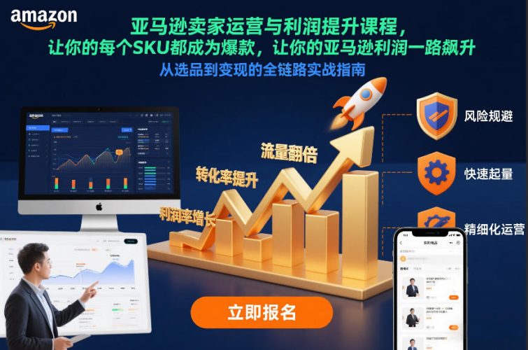 亚马逊卖家运营与利润提升课程，让你的每个SKU都成为爆款，让你的亚马逊利润一路飙升(更新12月)-大设天下